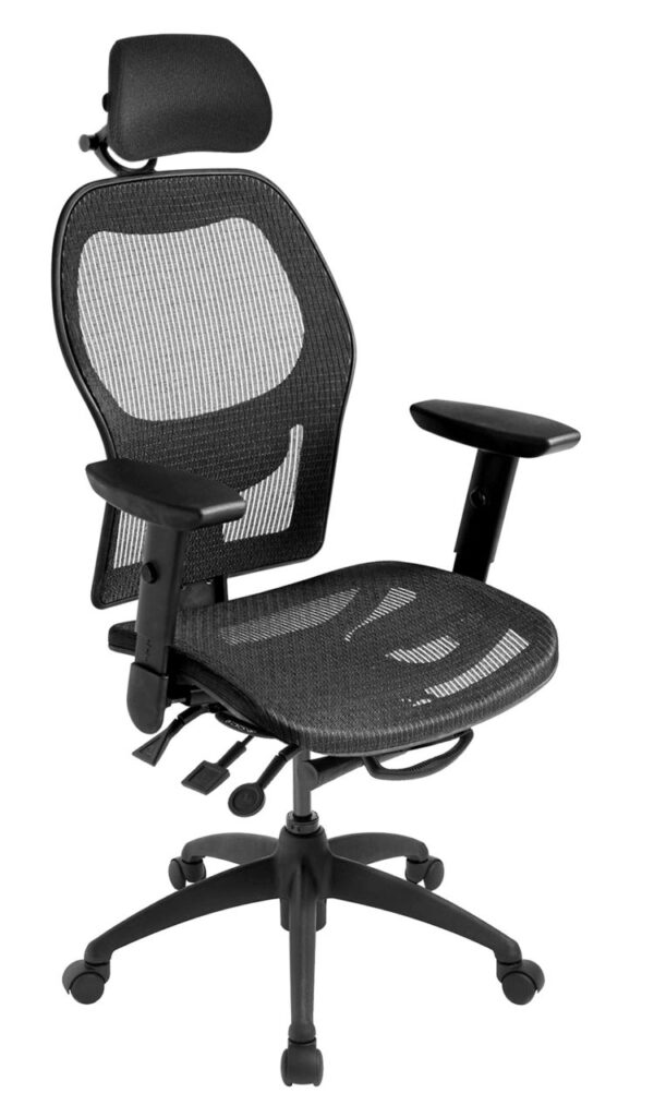 ecoCentric Mesh office chair from ergoCentric. Black with Mesh Backrest. Equipped with Multi Tilt Mechanism, 4” Height Adjustable T-Arm, Black Base, Arms, and Casters.